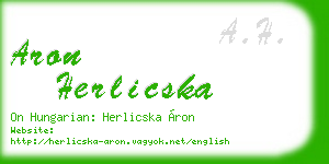 aron herlicska business card